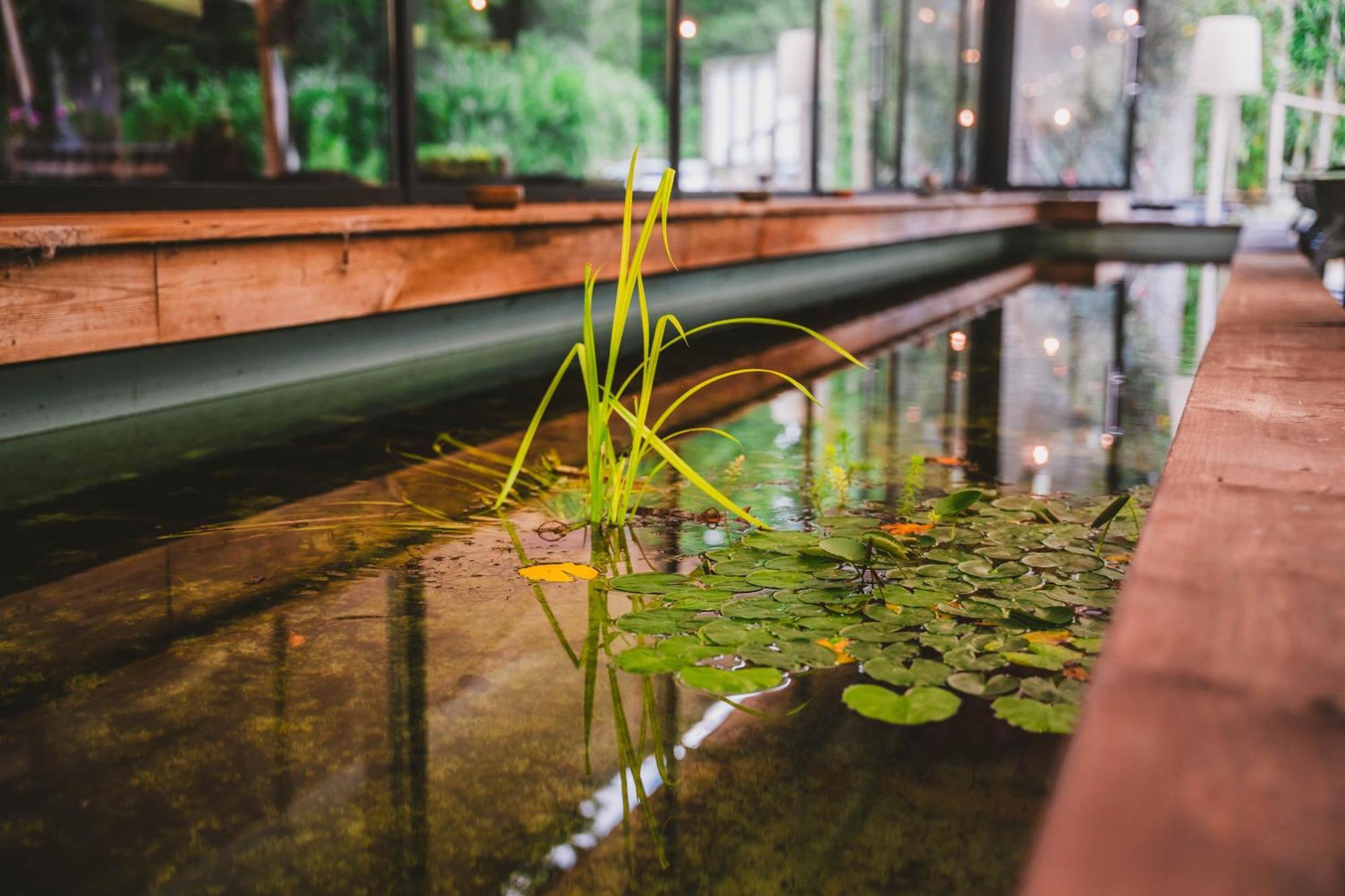 Utopia Hotel - Art & Nature Hotel Mons Eksteriør bilde